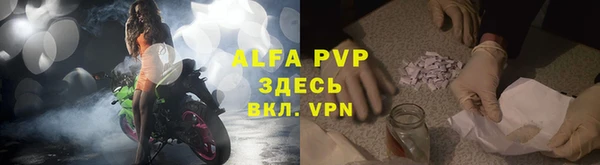хмурый Липки