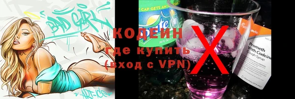 хмурый Липки