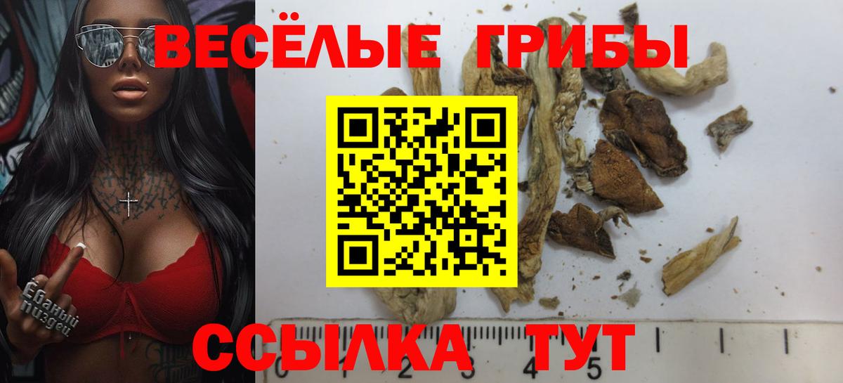 Галлюциногенные грибы Magic Shrooms  Вход с VPN  Лысьва  Галлюциногенные грибы GOLDEN TEACHER 